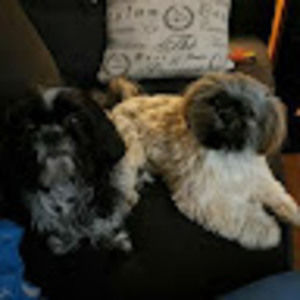 Meet your Posher, Leona